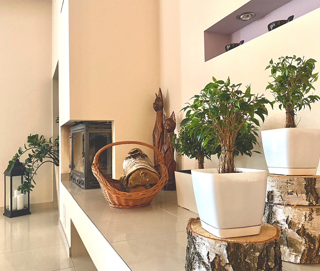 Lujo Sostenible: Tips para Integrar Elegancia con Responsabilidad Ambiental