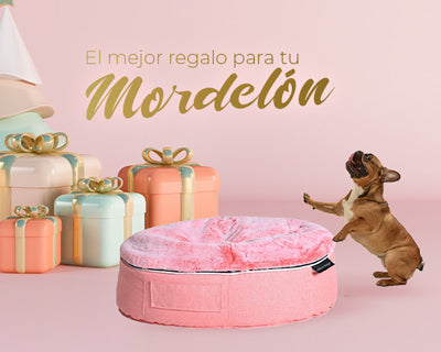 ¿Tu mejor amigo es destructor? Este es el regalo ideal