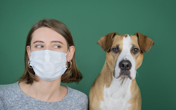 El aislamiento y nuestras mascotas. Cuidado de perros y gatos durante esta crisis coronavirus... o ellos nos cuidan?