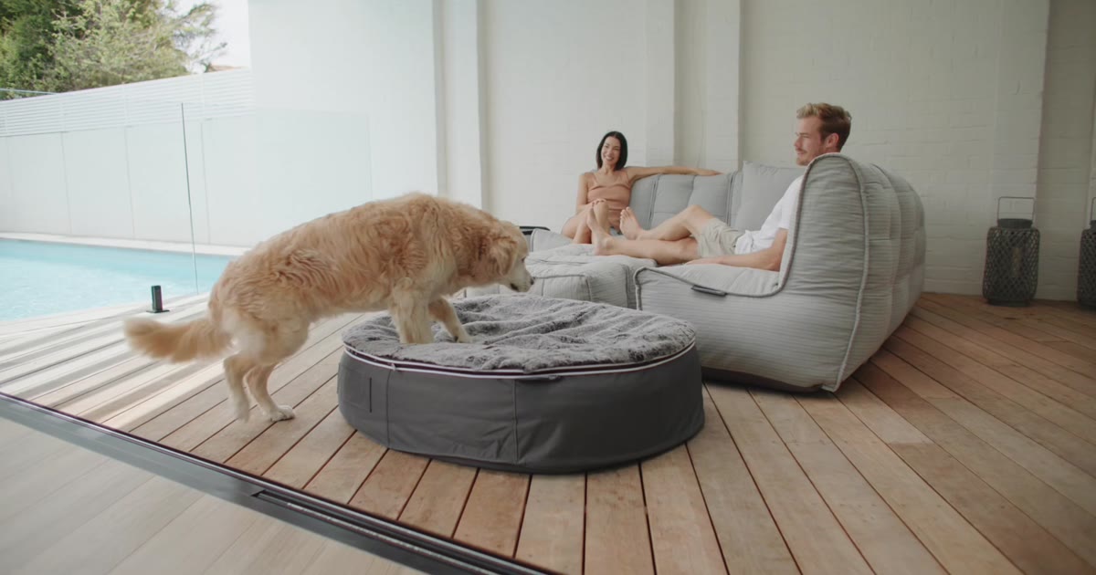 ambient lounge クッションベッド ウルフグレー　Sサイズ Premium Pouf de Diseñador para Living, Terraza, Jardin, Piscina