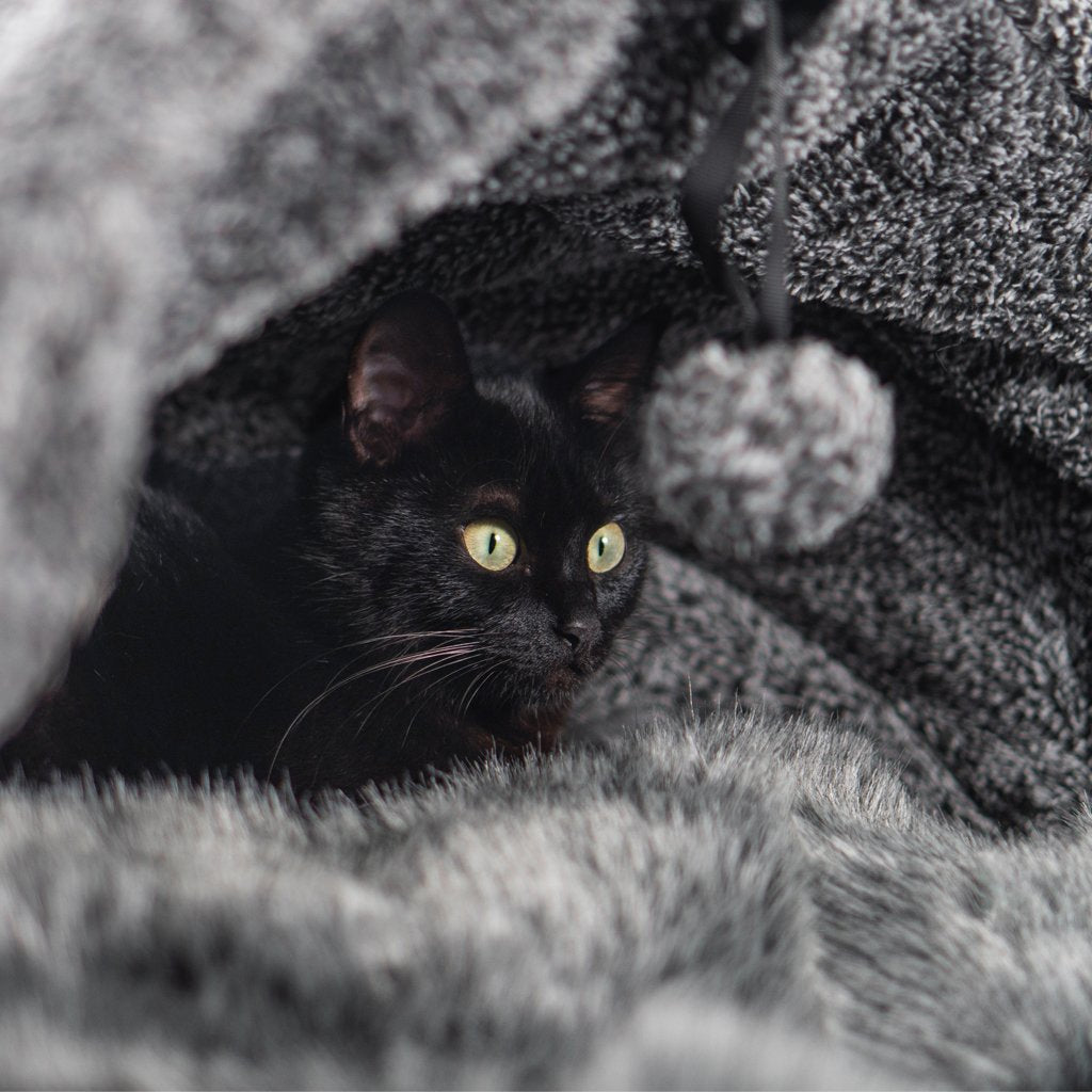 Cama de Lujo con Capucha para Gato