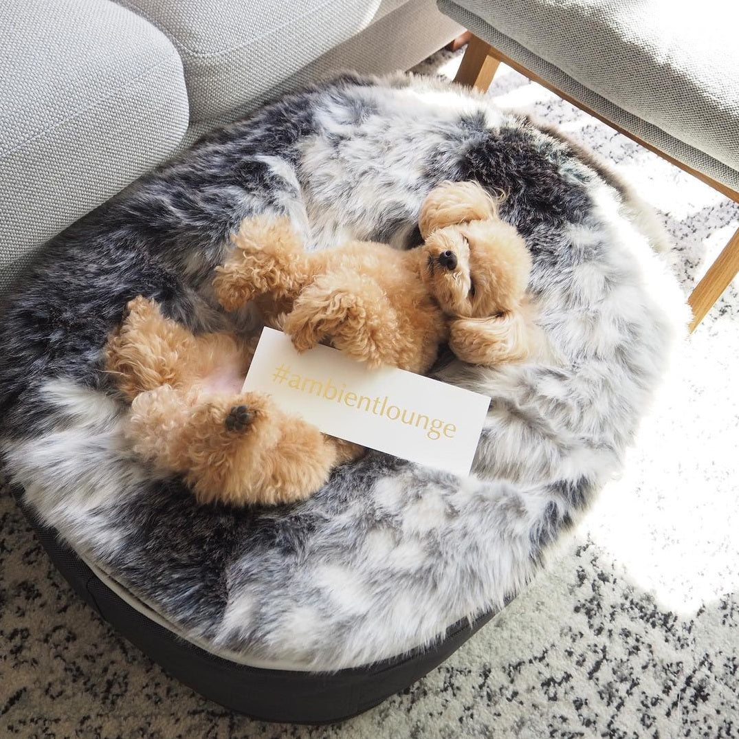 Cama Mediana de Lujo para Perro (Wild Animal)