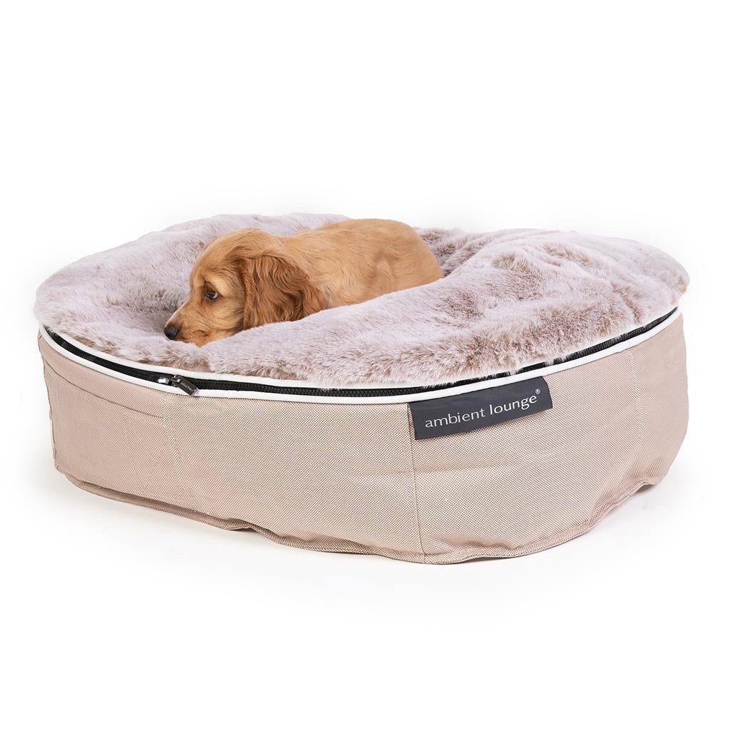 Conjunto de Cama Pequeña para Perros (Cappuccino) y Cubierta (Wild Animal)