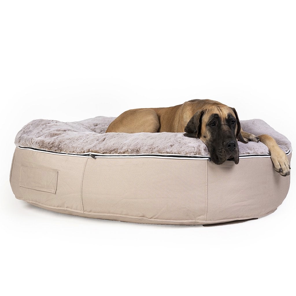 Conjunto de Cama Extra Grande para Perros (Cappuccino) y ThermoCool Mat L