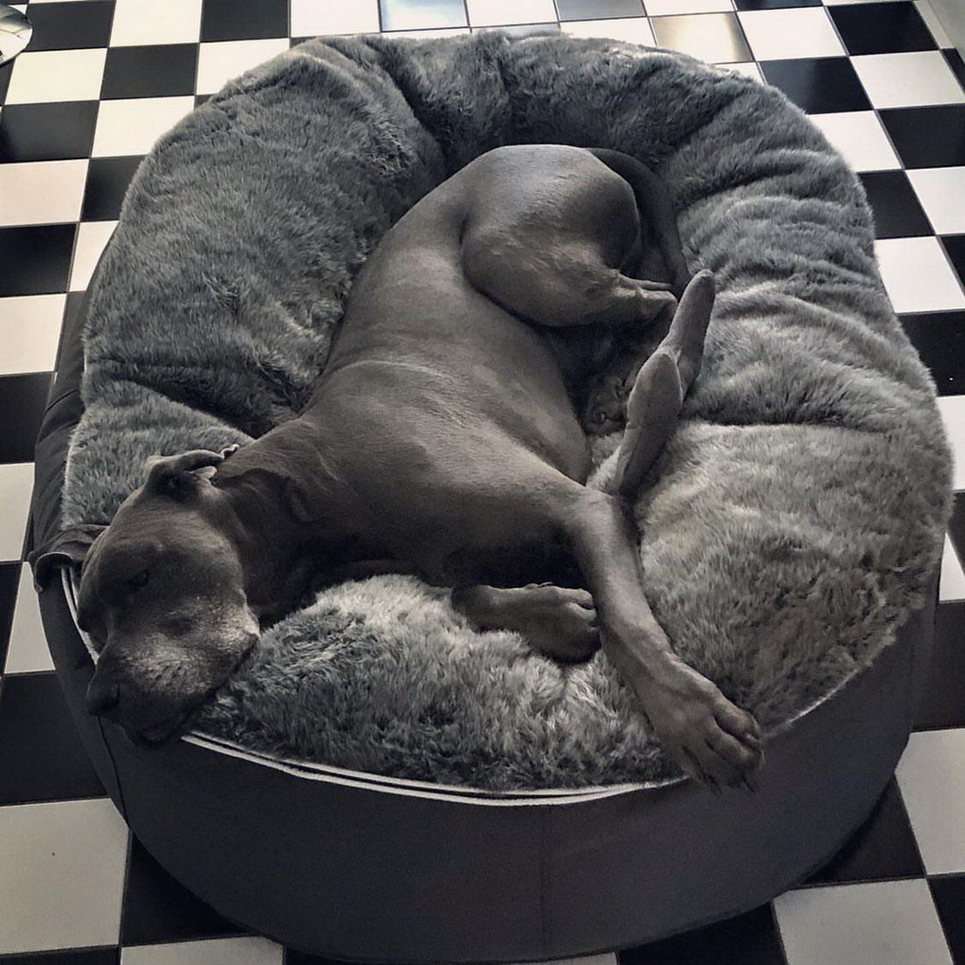 Cama Extra Grande de Lujo para Perro (Original)
