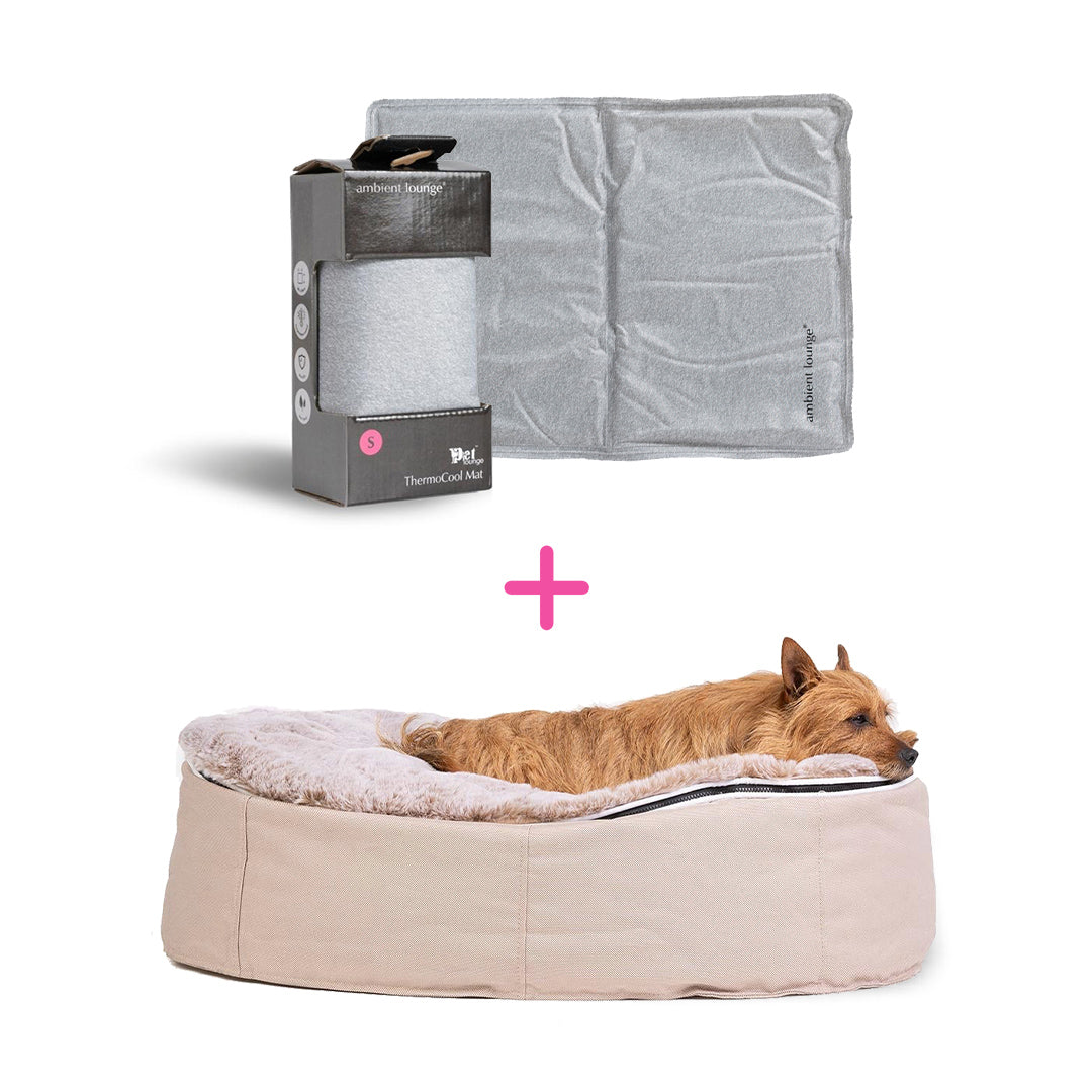 Conjunto de Cama Mediana para Perros (Cappuccino) y ThermoCool Mat S