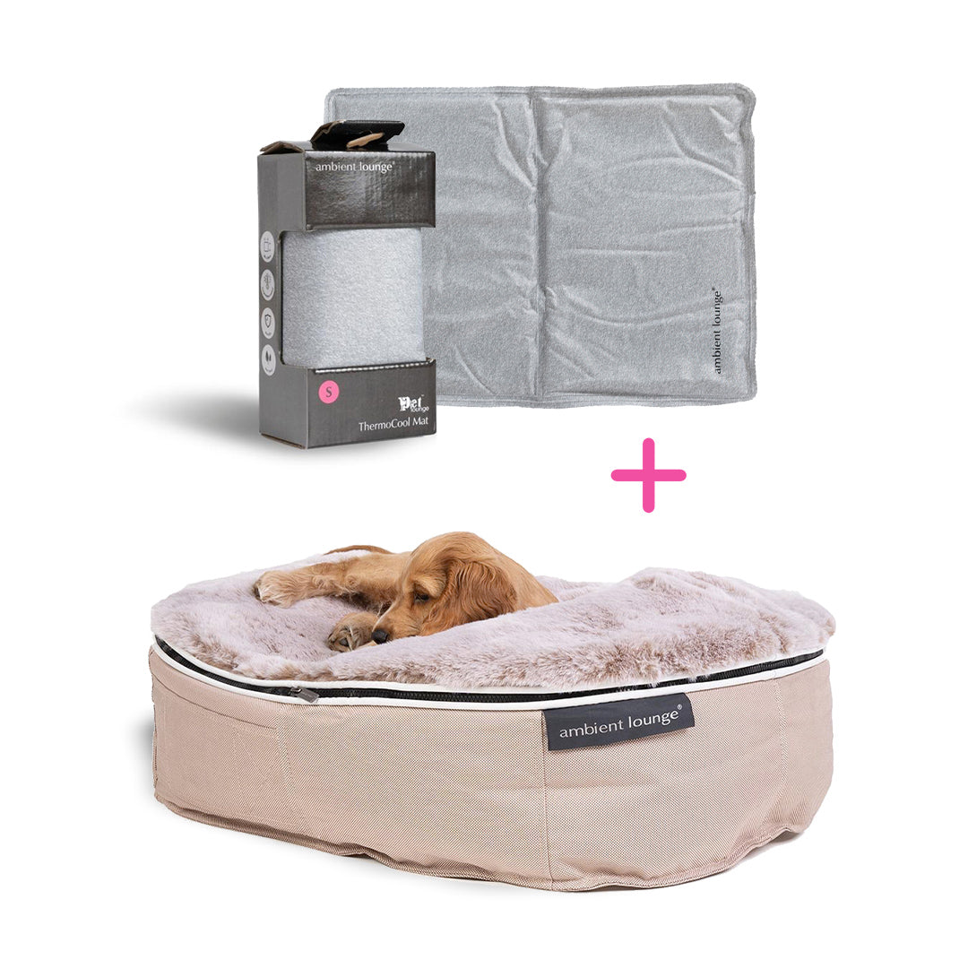 Conjunto de Cama Pequeña para Perros (Cappuccino) y y ThermoCool Mat S