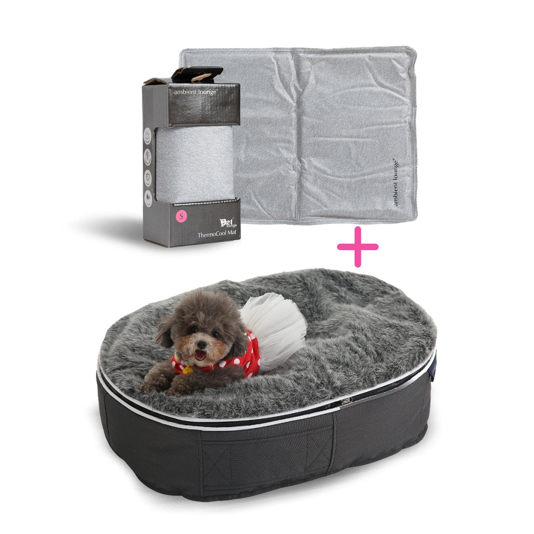 Perro Camas Para Gatos En Amazon Cama Cueva Azul Con Pelota Para