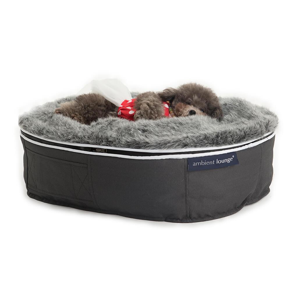 Conjunto de Cama Pequeña para Perros (Original) y Cubierta (Cappuccino)