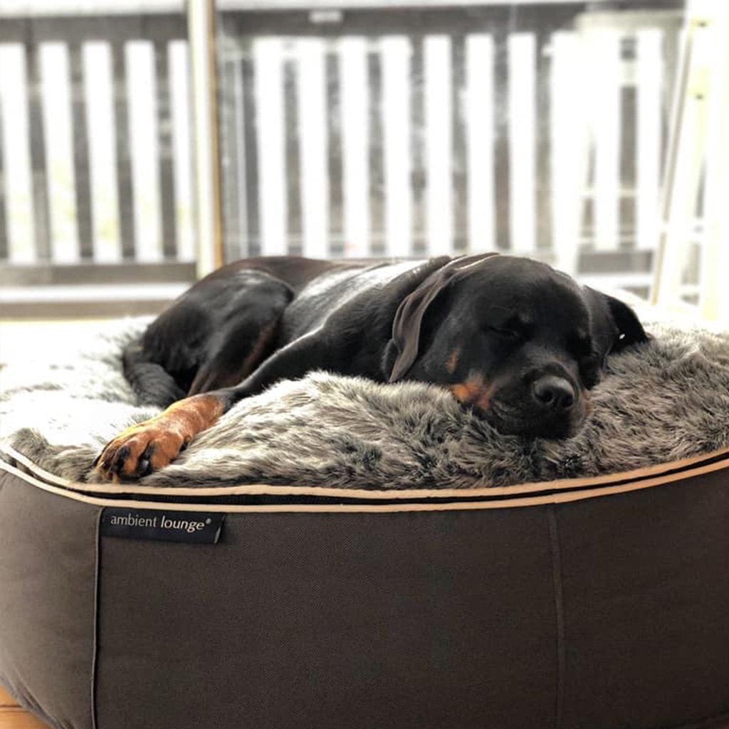 Cama Extra Grande de Lujo para Perro (Original)