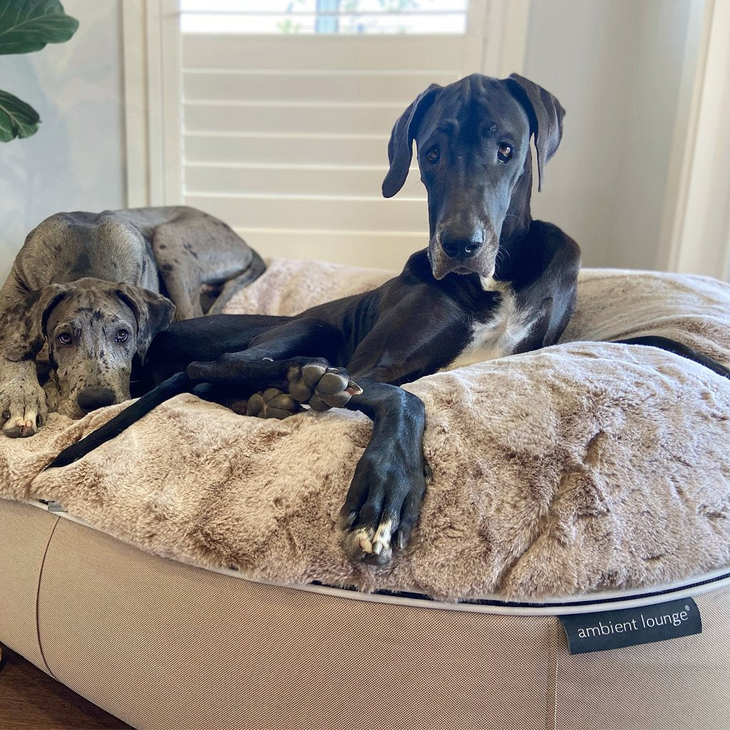 Cama Extra Grande de Lujo para Perro (Cappuccino)