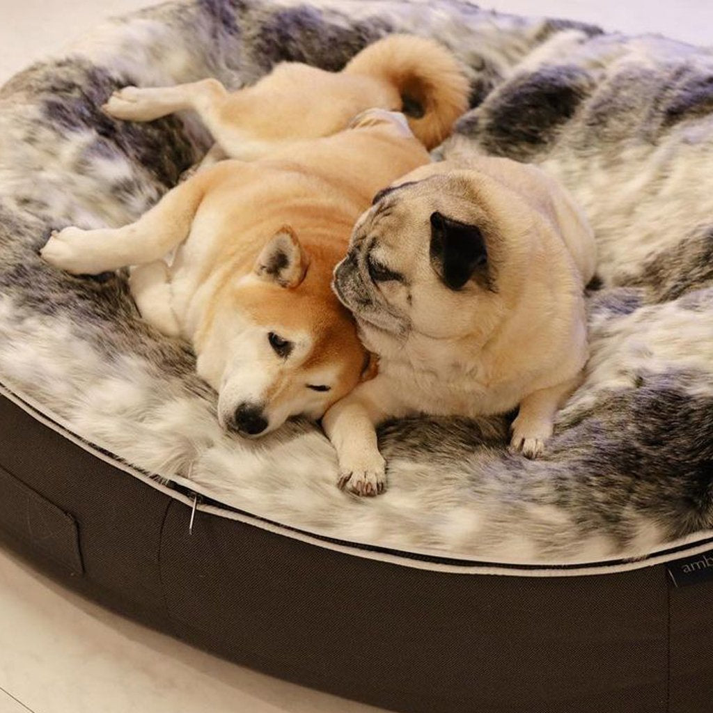 Cama Grande de Lujo para Perro (Wild Animal)