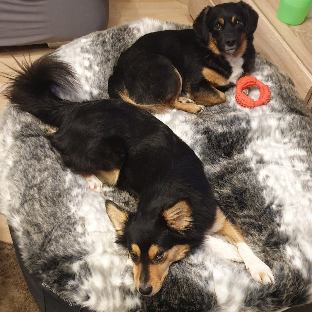 Cama Grande de Lujo para Perro (Wild Animal)