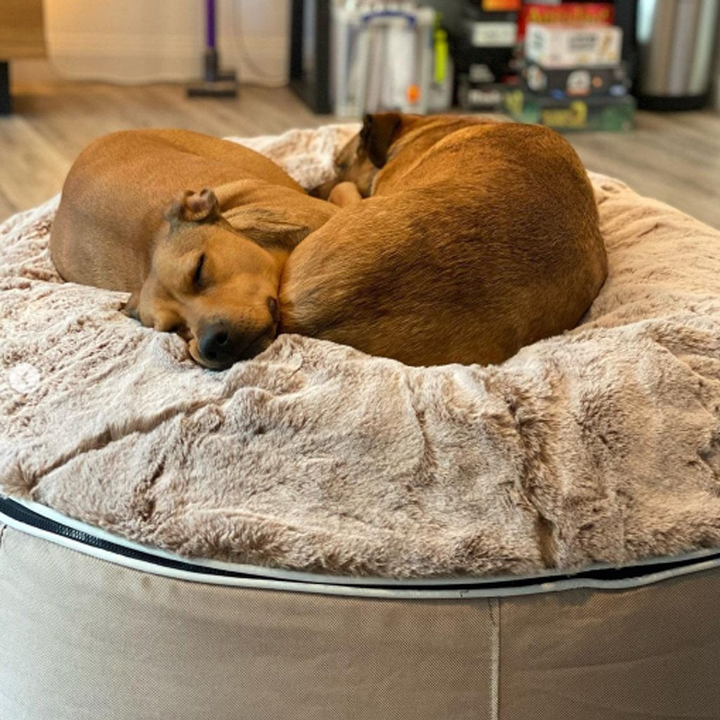 Cama Grande de Lujo para Perro (Cappuccino)