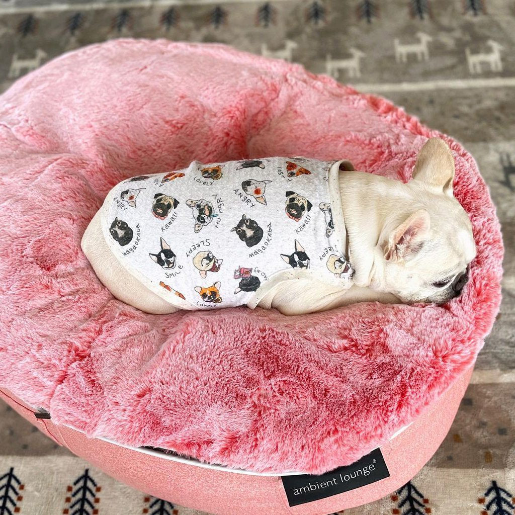 Cama Mediana de Lujo para Perro (Pink Ltd. Edition)