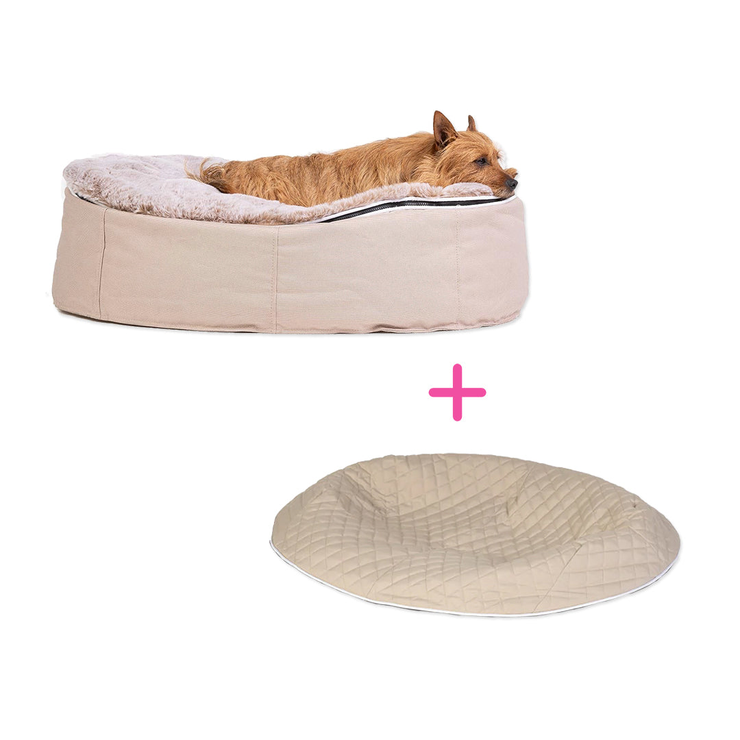 Conjunto de Cama Mediana para Perros (Cappuccino) y Premium ThermoQuilt