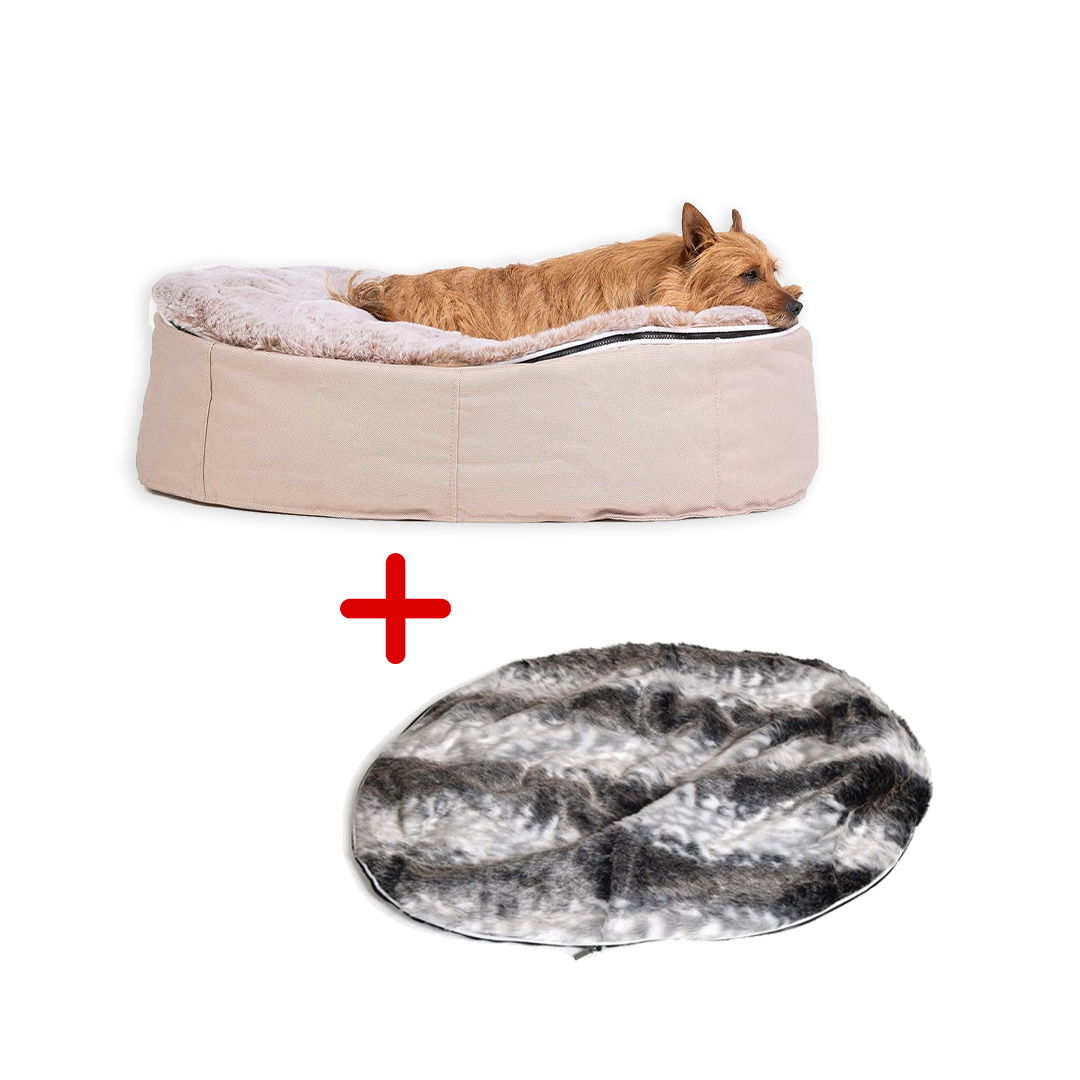 Conjunto de Cama Mediana para Perros (Cappuccino) y Cubierta (Wild Animal)