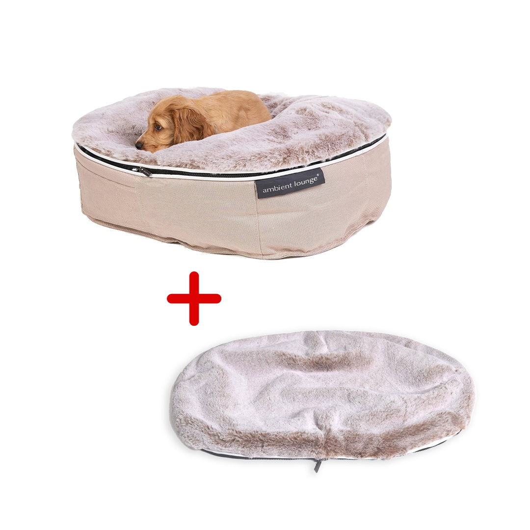 Conjunto de Cama Pequeña para Perros (Cappuccino) y Cubierta (Cappuccino)