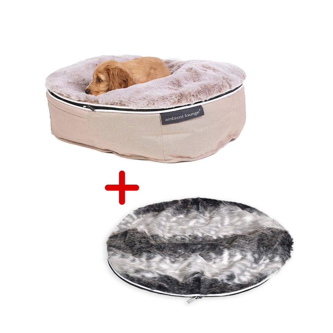 Conjunto de Cama Pequeña para Perros (Cappuccino) y Cubierta (Wild Animal)