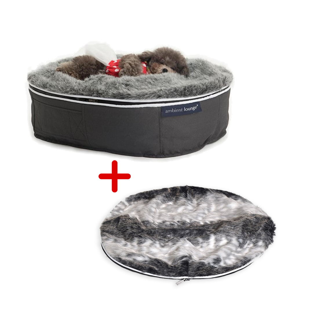 Conjunto de Cama Pequeña para Perros (Original) y Cubierta (Wild Animal)