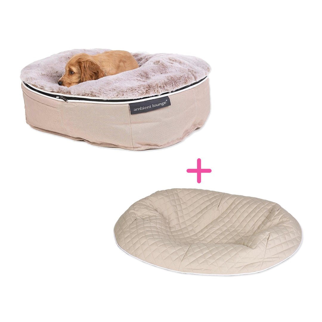Conjunto de Cama Pequeña para Perros (Cappuccino) y Premium ThermoQuilt
