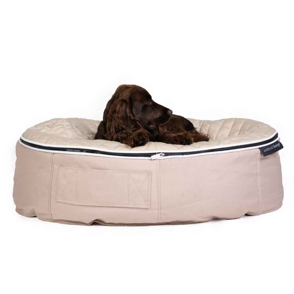 Conjunto de Cama Mediana para Perros (Cappuccino) y Premium ThermoQuilt