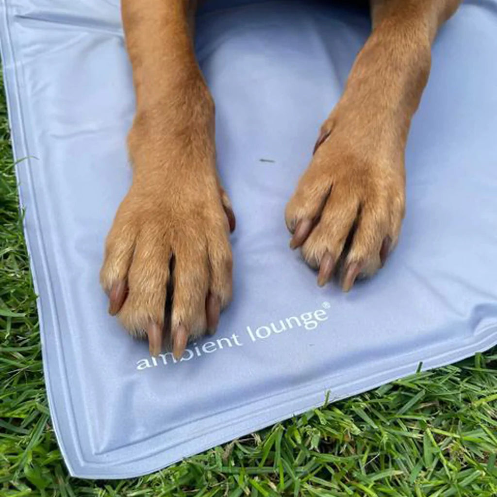 Manta refrescante para perro (cama G-E)