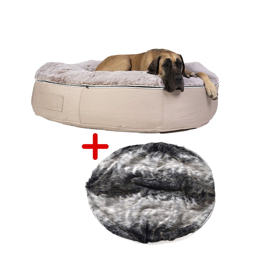 Conjunto de Cama Extra Grande para Perros (Cappuccino) y Cubierta (Wild Animal)