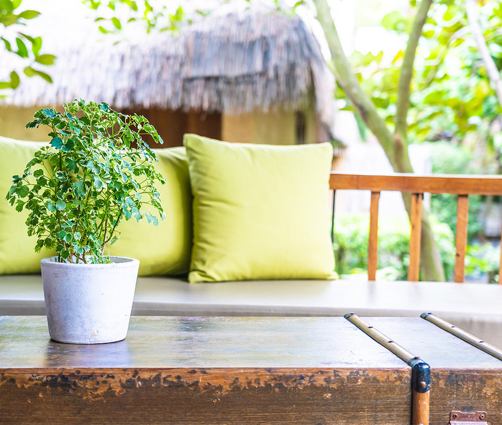 Renueva tu balcón o terraza para la primavera: Convierte tu espacio exterior en un oasis de tranquilidad