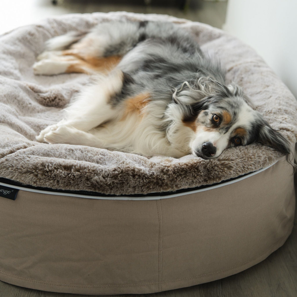 Cama Rebound Foam para perros