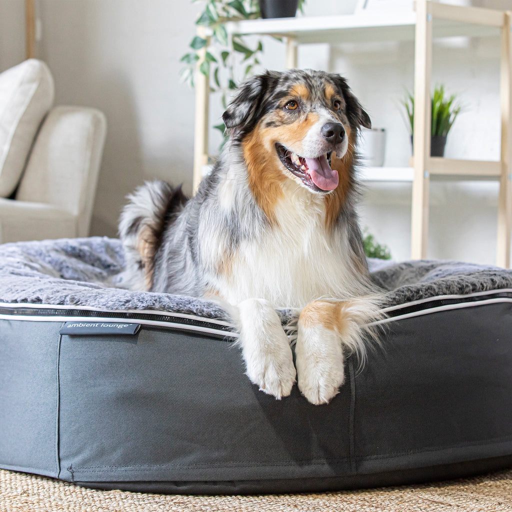 Cama Grande Rebound Foam Mattress (Silken Grey)