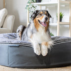 Cama Grande Rebound Foam Mattress (Silken Grey)