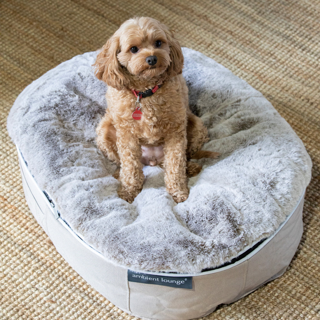 Cama Mediana Rebound Foam Mattress (Cappuccino)