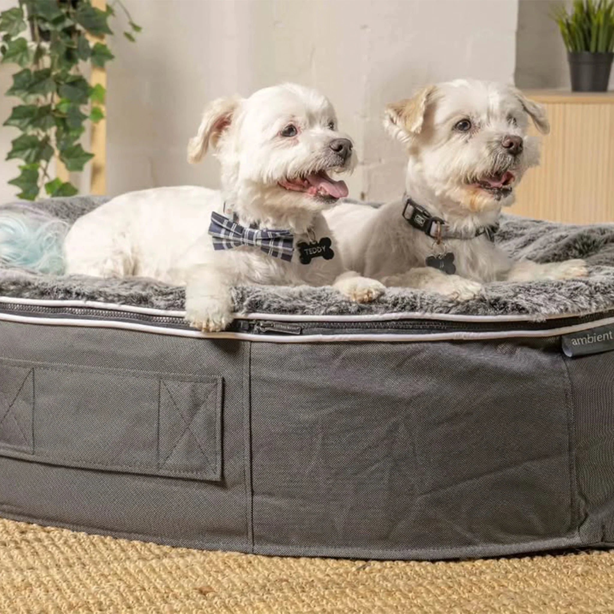 Cama Mediana Rebound Foam Mattress (Silken Grey)
