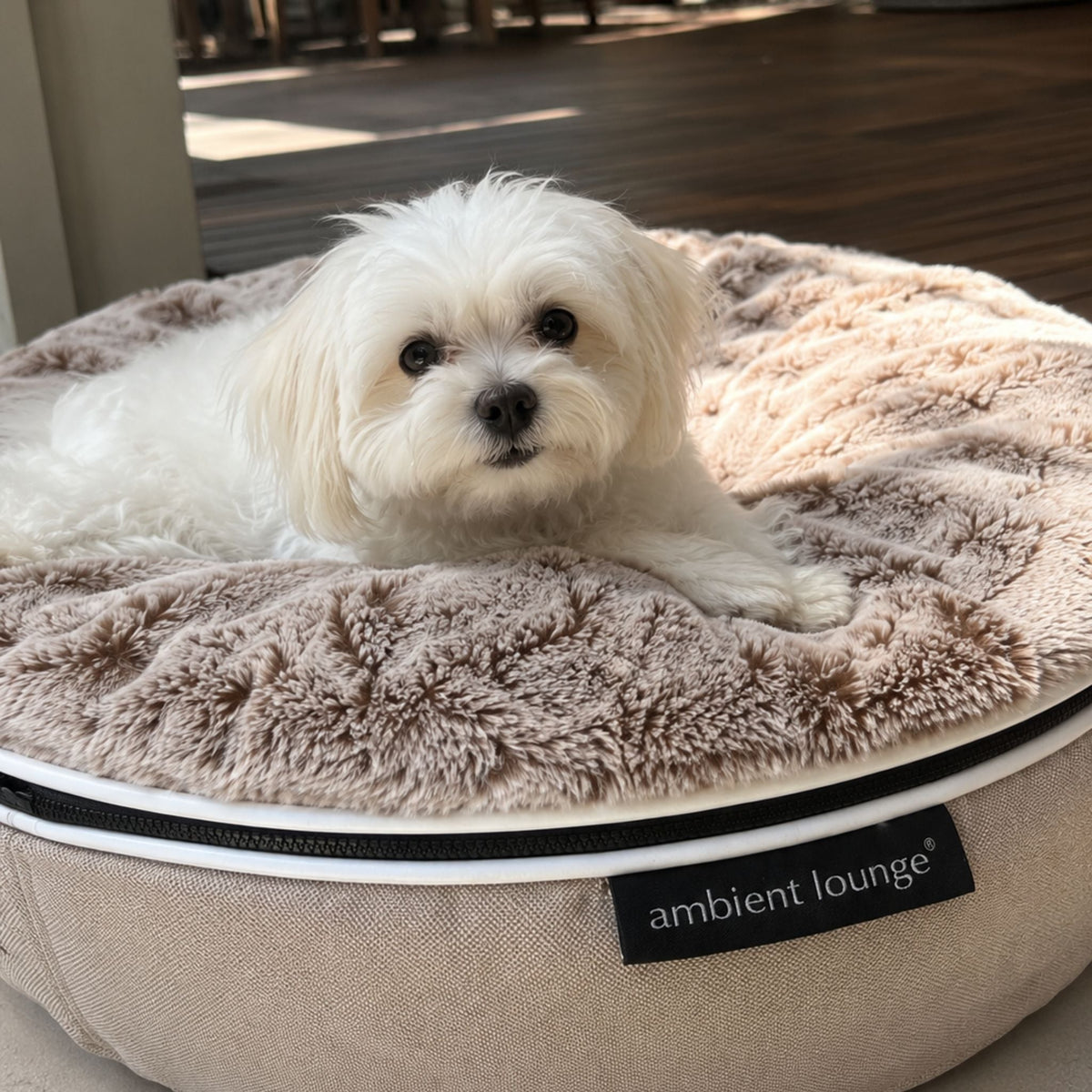 Cama Rebound Pequeña Cappuccino