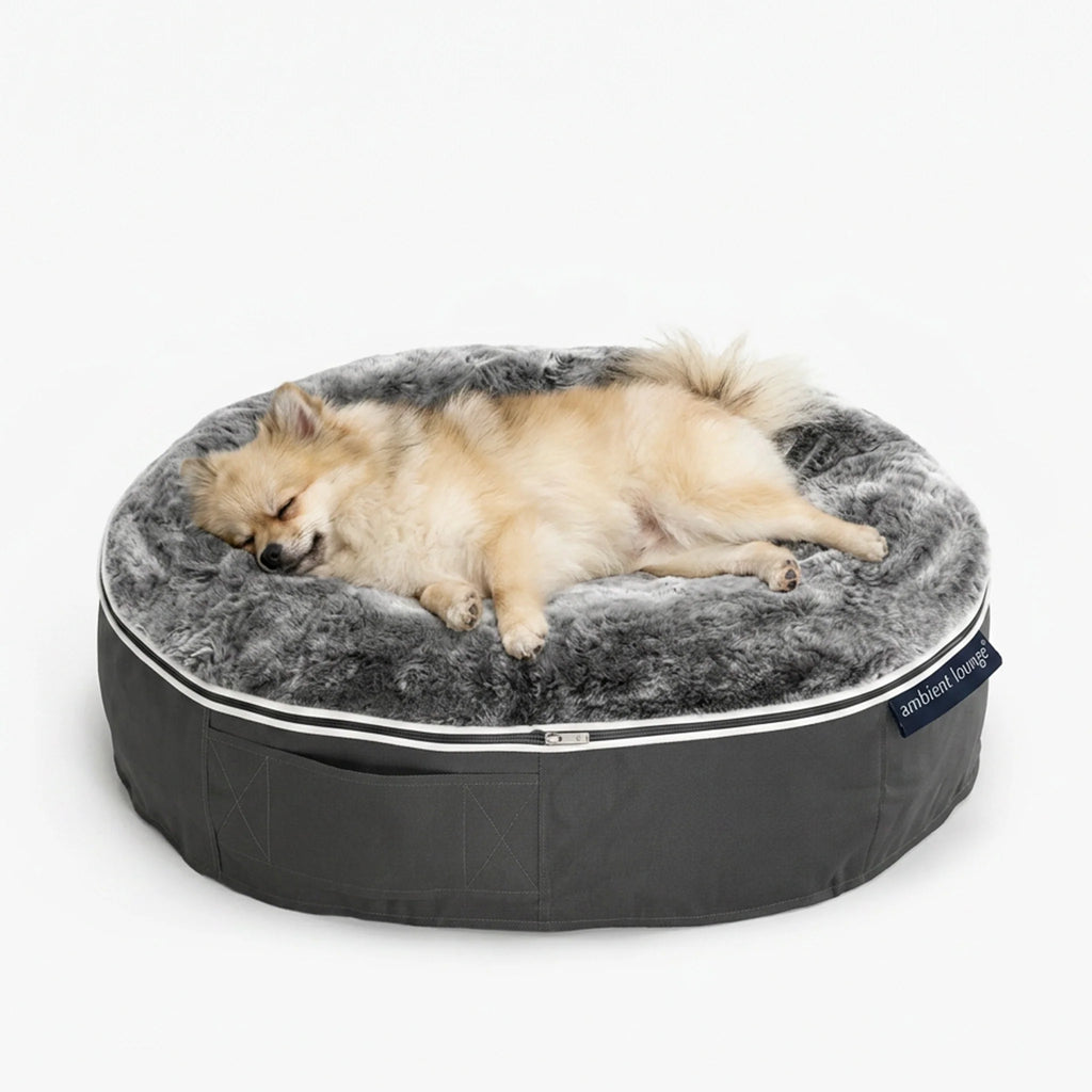 Cama Pequeña Rebound Foam Mattress (Silken Grey)