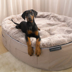 Cama Extra Grande Rebound Foam Mattress (Cappuccino)