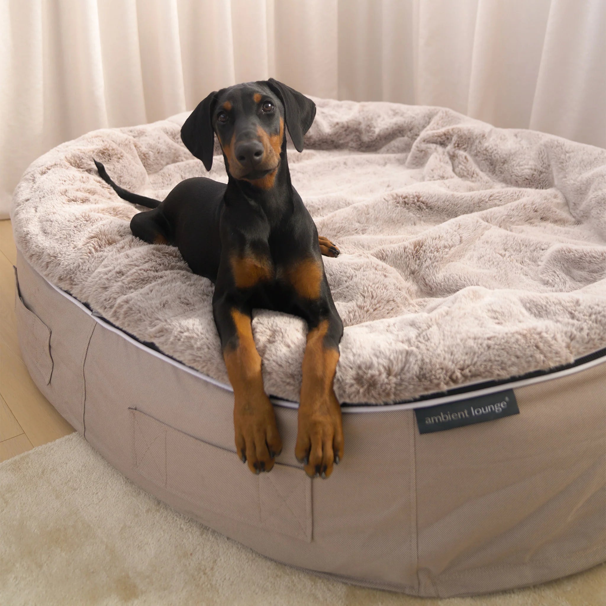 Cama Extra Grande Rebound Foam Mattress (Cappuccino)