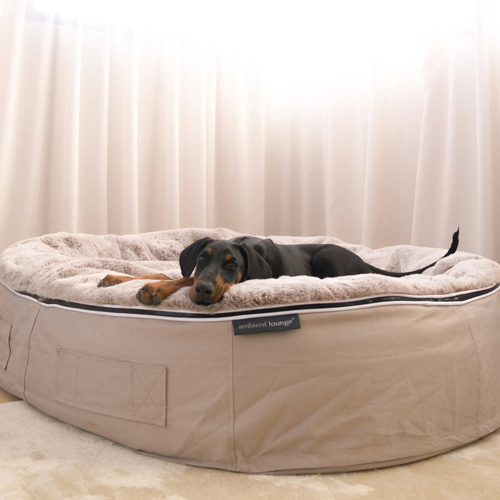 Cama Extra Grande Rebound Foam Mattress (Cappuccino)