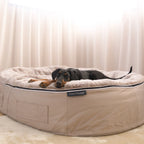 Cama Extra Grande Rebound Foam Mattress (Cappuccino)