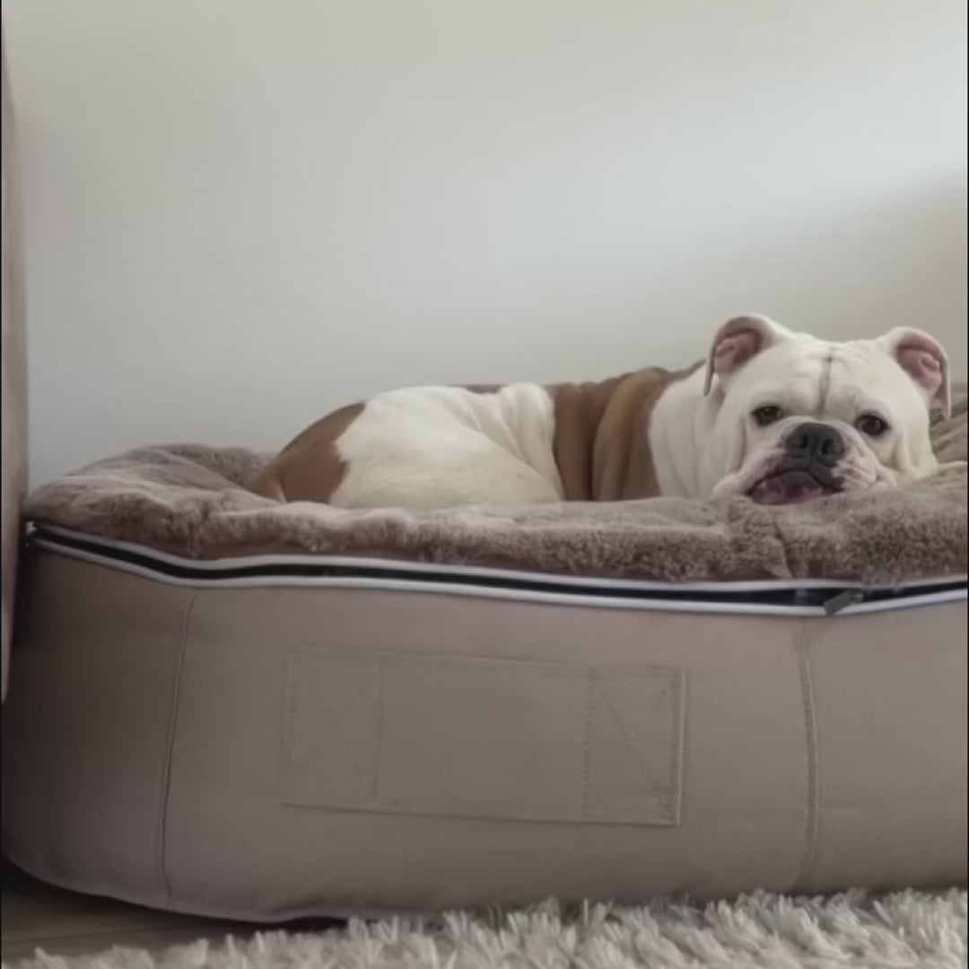 Cama Grande Rebound Foam Mattress (Cappuccino)