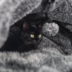 Cama de Lujo con Capucha para Gato