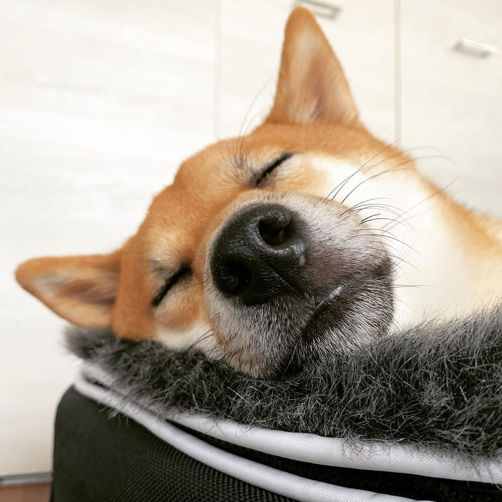 Cubierta Deluxe para Cama de Perro Grande (Original)