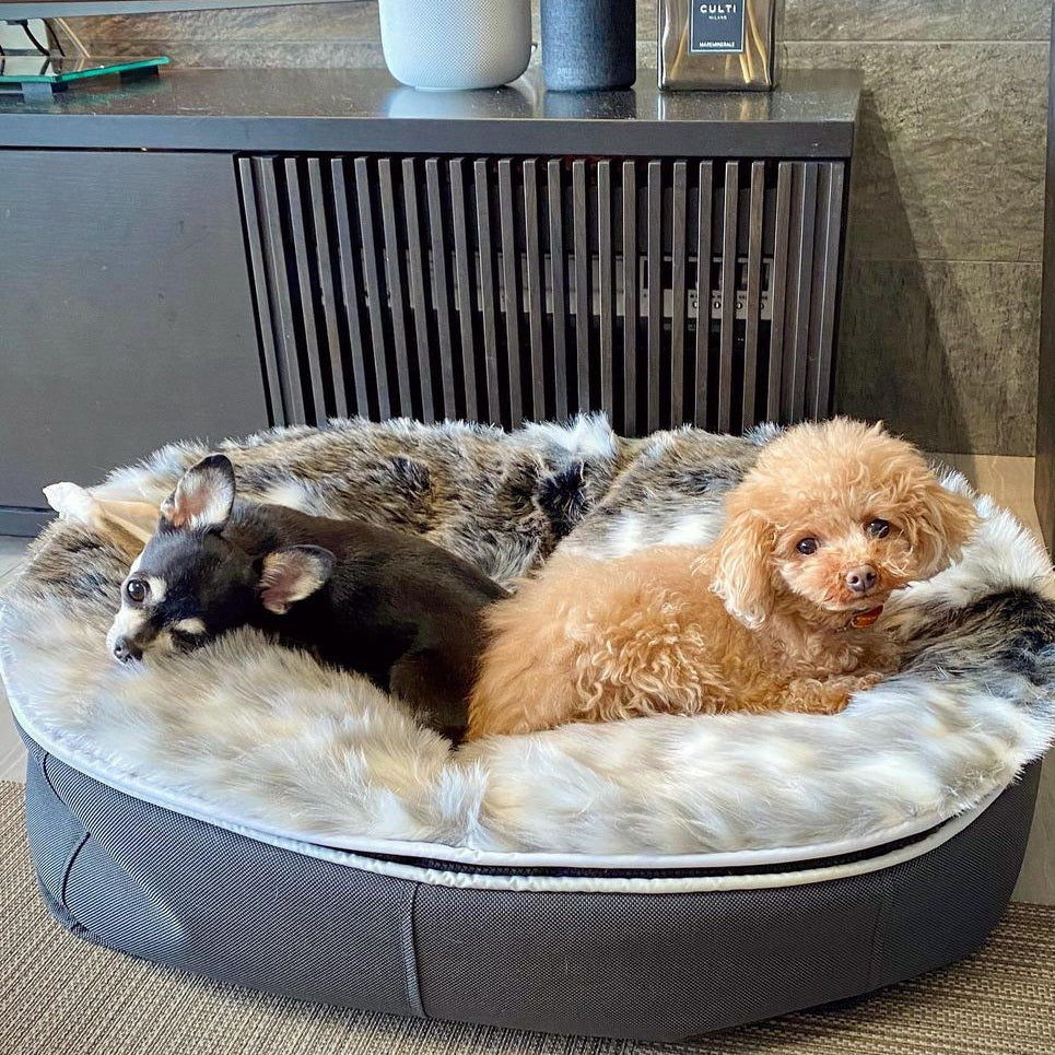 Cubierta Deluxe para Cama de Perro Grande (Wild Animal)