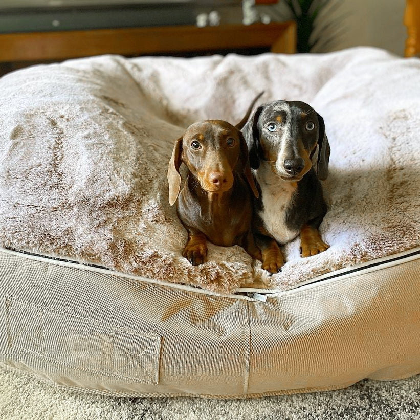 Cubierta Deluxe para Cama de Perro Grande (Cappuccino)