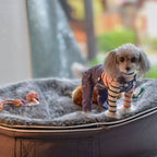 Conjunto de Cama Pequeña para Perros (Original) y Cubierta (Original)