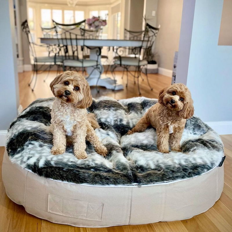 Conjunto de Cama Extra Grande para Perros (Cappuccino) y Cubierta (Wild Animal)