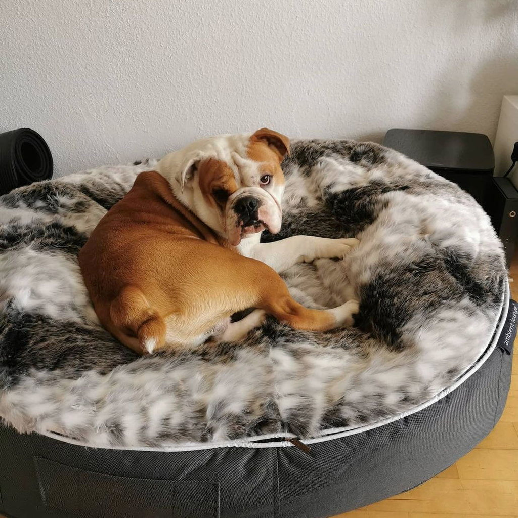 Conjunto de Cama Grande para Perros (Original) y Cubierta (Wild Animal)