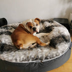 Conjunto de Cama Grande para Perros (Original) y Cubierta (Wild Animal)