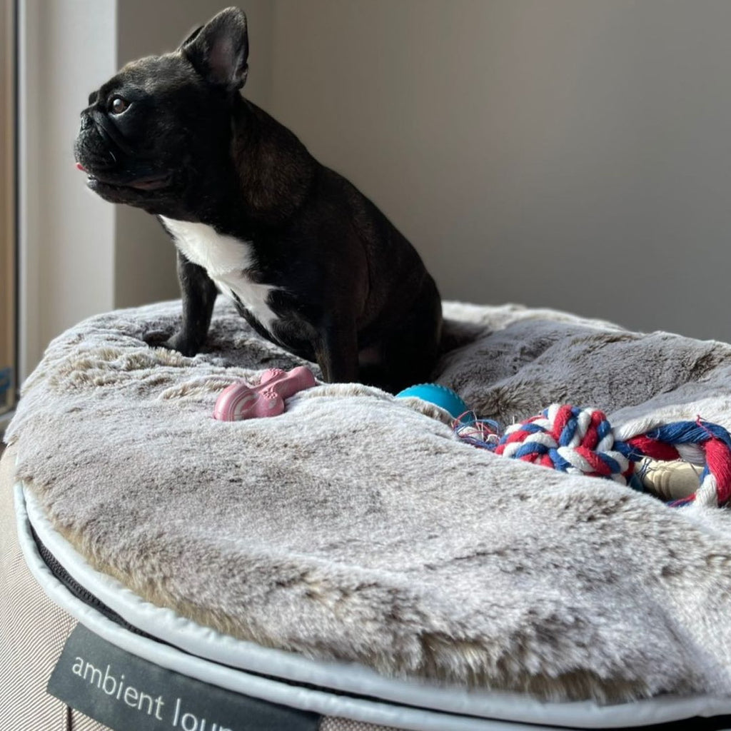 Cubierta Deluxe para Cama de Perro Mediana (Cappuccino)